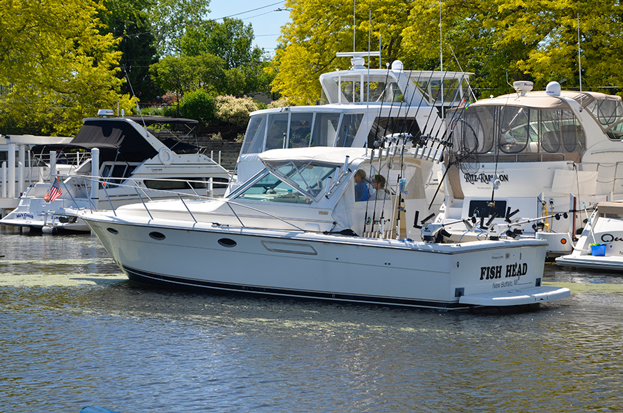 Fishing charter boat new buffalo