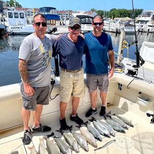 lake michigan fishing charter boat