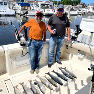 lake michigan fishing boat charter